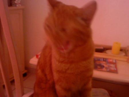 Baillage en direct lol